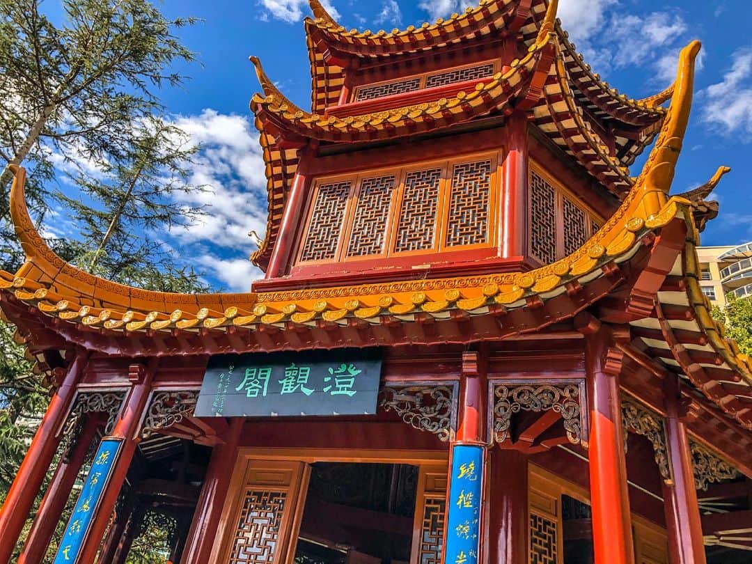 かにゃさんのインスタグラム写真 - (かにゃInstagram)「Chinese Garden of Friendship🏯✨ めっちゃ綺麗だったな〜🌿 公園で一人ぼーっとする時間って幸せ…🐈  . . . #chinesegarden #chinesegardenoffriendship #sydney #sydneyaustralia #sydney_insta #australia #travel #travelphotography #travelgram #travelblogger #traveltheworld #traveling #travelingram #travelblog #traveladdict #instatravel #instatraveling #travelaustralia #シドニー #オーストラリア #旅行 #旅 #海外旅行 #旅行好きな人と繋がりたい #旅好きな人と繋がりたい #旅スタグラム #旅行好き #旅行記 #旅行写真 #旅女子」5月31日 17時54分 - kanya_435