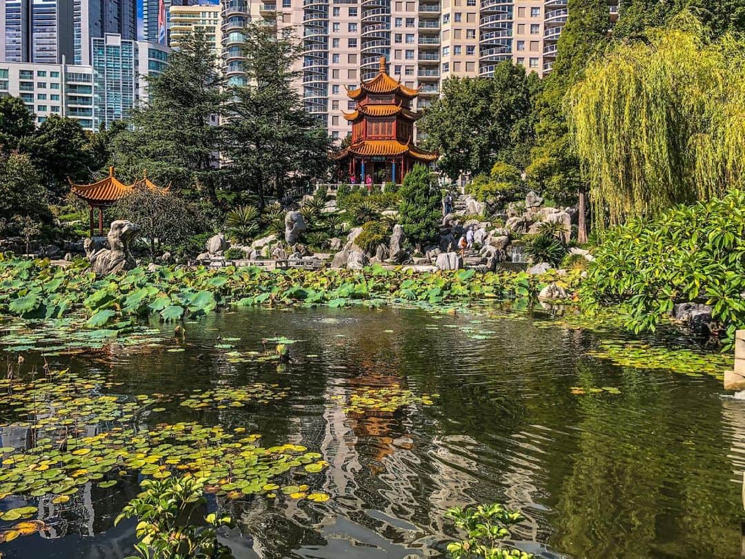 のインスタグラム：「Chinese Garden of Friendship🏯✨ めっちゃ綺麗だったな〜🌿 公園で一人ぼーっとする時間って幸せ…🐈  . . . #chinesegarden #chinesegardenoffriendship #sydney #sydneyaustralia #sydney_insta #australia #travel #travelphotography #travelgram #travelblogger #traveltheworld #traveling #travelingram #travelblog #traveladdict #instatravel #instatraveling #travelaustralia #シドニー #オーストラリア #旅行 #旅 #海外旅行 #旅行好きな人と繋がりたい #旅好きな人と繋がりたい #旅スタグラム #旅行好き #旅行記 #旅行写真 #旅女子」