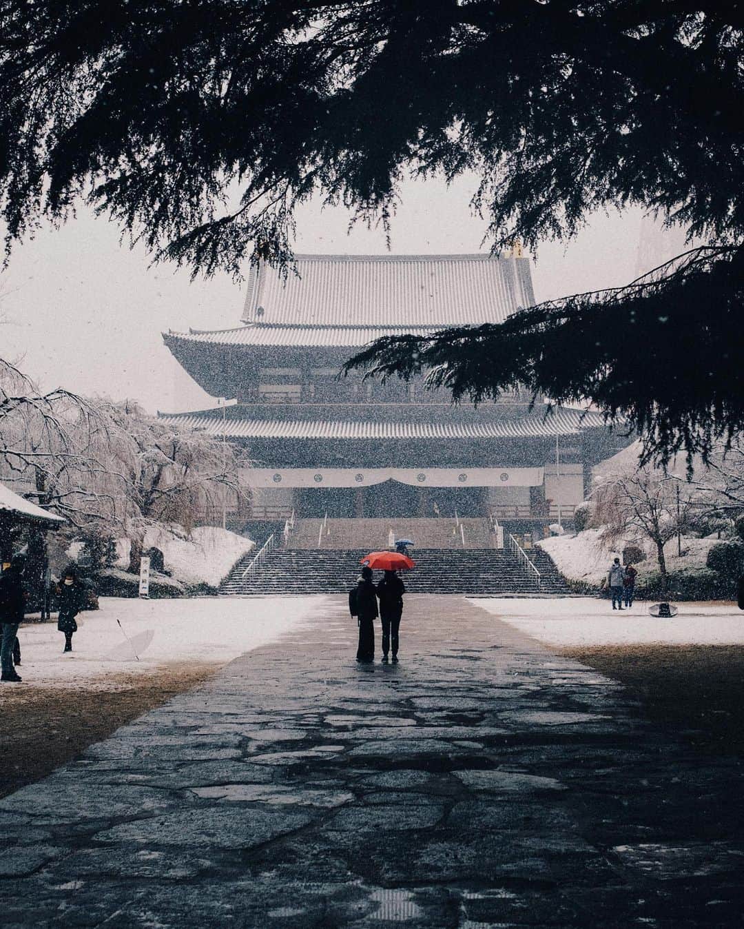 Kaiのインスタグラム：「Winter of 2018.」