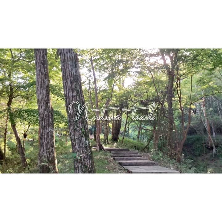 二見夕貴のインスタグラム：「. Earth power🌿. °  箱根の奥の方。 安心・安全な森の遊歩道。  ＼  おすそわけ動画ぱーとつー！ ／  自然のパワーをもらいに行ってきた🌿 去年見つけてから 箱根の新たなお気に入りスポットに☺︎  虫や草むらが苦手なわたしでも 気持ち良く歩けてすき。 動物に出逢えるのを期待して歩くけど 今回も出逢えませんでした☺️ ( この辺りは自然度の高い森らしく 　色んな動物が生息してるらしいよ＊ )  森の中に唐突に現れる彫刻たちが 彫刻の森美術館とはまた違った 野外展示の楽しみ方をさせてくれます✨ ( 彫刻の森美術館もだいすき )  どこからか聴こえてくる不思議な音色、 樹々の音、小鳥のさえずり、小川のせせらぎと共に 五感で癒され、楽しめる場所. *  ※BGMなし ※1分にまとめるの頑張った  #naturetrail #polamuseum #birdssinging #hakone #cameragirl #walkingvideo #森の遊歩道 #ポーラ美術館 #小鳥のさえずり #木漏れ日 #箱根 #カメラ女子 #お散歩動画 #休日の過ごし方」