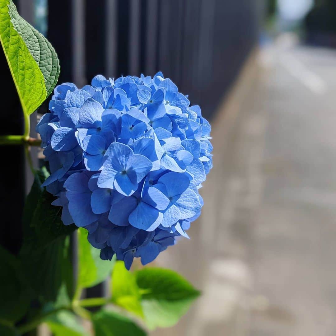 池澤あやかのインスタグラム