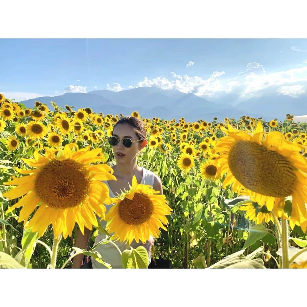 渡辺知夏子さんのインスタグラム写真 - (渡辺知夏子Instagram)「🌻好き🌻 季節になるとお部屋に必ず飾ってる🌻 そして、何故かよく頂いたりもする🌻 みんな🌞の方を向いちゃって可愛いよね🌻🌻🌻🌻🌻🌻🌻🌻 . 黄色好き💛 ピカチュウも黄色▼o'ᆺ'o▼⚡ 海の中でも黄色いお魚って目立って綺麗°･🐠 レモンも好き🍋 とうもろこしも好き🌽 . 1番最後の写真 ピカチュウウミウシ▼o'ᆺ'o▼⚡に会えた時は震えたっ🐬‼️ @chikako_blue  . 本当🌎ってすごい所だよね😭👏🏻✨ .  #🌻  #アルバム発見  #私の好きなもの  #💛  #💙と💛のコントラスト  #元気になるもの」6月1日 0時34分 - chikako_724