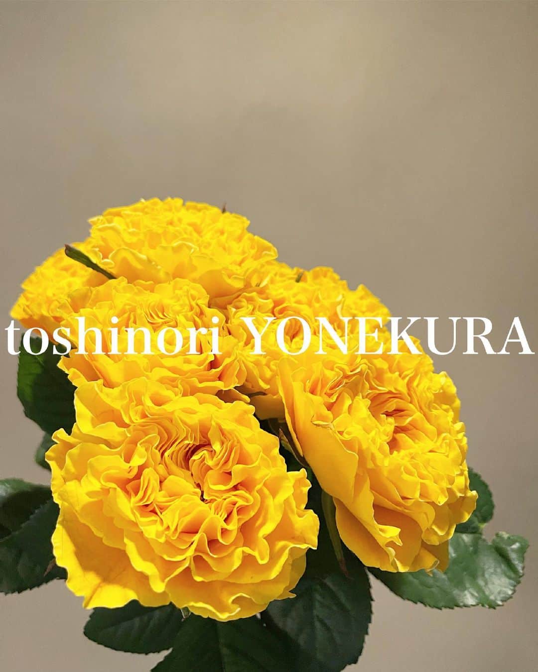 米倉利紀さんのインスタグラム写真 - (米倉利紀Instagram)「flowers is this week #thanks #fumiko」6月1日 11時32分 - toshi_yonekura