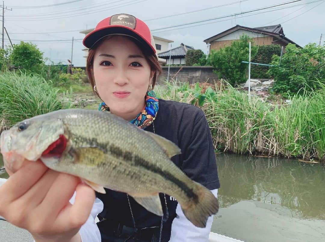 岡田万里奈さんのインスタグラム写真 - (岡田万里奈Instagram)「. . . . ヤマセンコー in 霞ヶ浦 . 小バスが2匹と40cmアップが一匹掛かりましたが ボート際でバレました😭 トップで釣りたかったけど、難しかった・・ . 自作ルアーでのリベンジ、 YouTube動画でやってみようかなと思います！！！ . スウィッシャーの釣り方のコツがあれば、 教えて下さい！！！ . . . #釣りビジョン #おかまりのしまっていこうぜ  #bassfishing #ヤマセンコー #霞ヶ浦 #霞ヶ浦水系 #新利根川  #オカマリが釣ってきた #おかまり」6月1日 20時23分 - lovendor_okamari