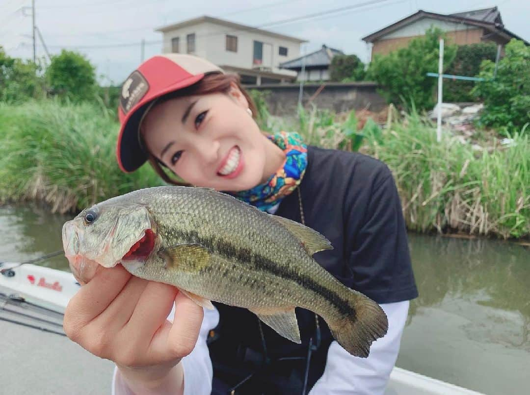 岡田万里奈さんのインスタグラム写真 - (岡田万里奈Instagram)「. . . . ヤマセンコー in 霞ヶ浦 . 小バスが2匹と40cmアップが一匹掛かりましたが ボート際でバレました😭 トップで釣りたかったけど、難しかった・・ . 自作ルアーでのリベンジ、 YouTube動画でやってみようかなと思います！！！ . スウィッシャーの釣り方のコツがあれば、 教えて下さい！！！ . . . #釣りビジョン #おかまりのしまっていこうぜ  #bassfishing #ヤマセンコー #霞ヶ浦 #霞ヶ浦水系 #新利根川  #オカマリが釣ってきた #おかまり」6月1日 20時23分 - lovendor_okamari