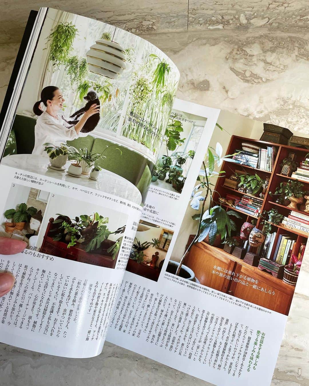 桐島かれんさんのインスタグラム写真 - (桐島かれんInstagram)「発売中の雑誌「エクラ」の観葉植物特集。 6ページにわたり、大好きなグリーンを育てる楽しみ、飾るコツ、オススメの品種などをご紹介しています。  #エクラ　#観葉植物インテリア #観葉植物のある暮らし #観葉植物 #ハウスオブロータス」6月1日 14時31分 - houseoflotuskaren