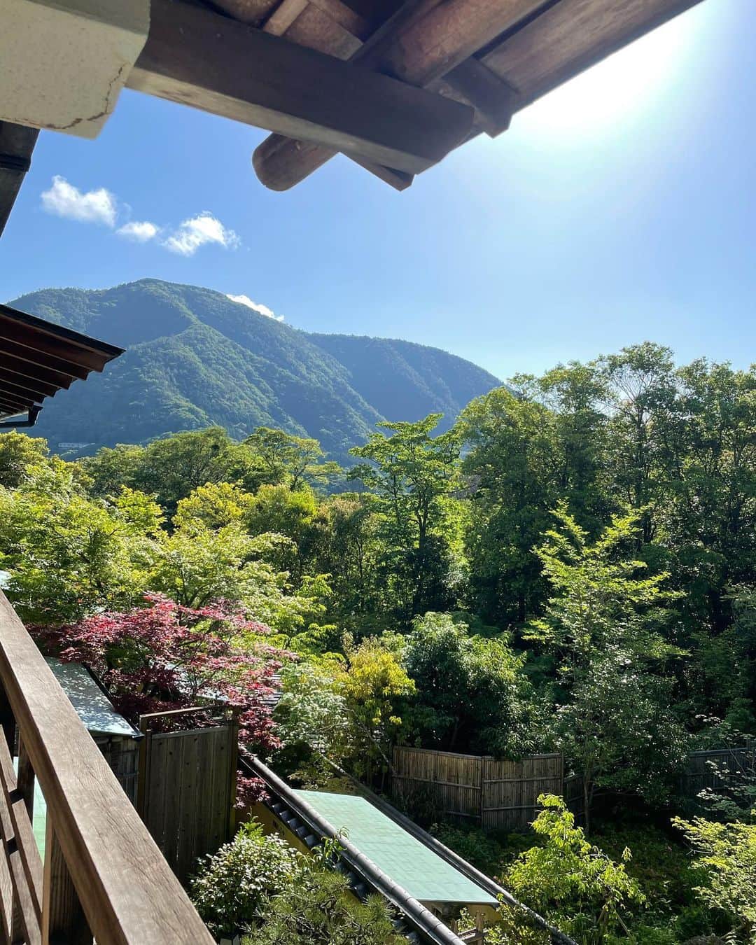 渡辺舞さんのインスタグラム写真 - (渡辺舞Instagram)「母と温泉へ行ってきました♨️  箱根の雄大な山々や旅館の細かなホスピタリティ、日本の伝統美の中で過ごす時間。  普段穏やかな暮らしを心がけていますが、それでも自然と頑張りすぎてたな、気を張りすぎてたかなと感じるくらい、心と頭が調律されて、ニュートラルな自分に戻った気分。五感を満たすことの贅沢を改めて感じました🌿  親友のような母と久しぶりにゆっくりおしゃべりしたり、穏やかな時間を過ごせた事も本当によかった✨  ＃箱根#マタニティー旅行」6月1日 16時11分 - maipu0125