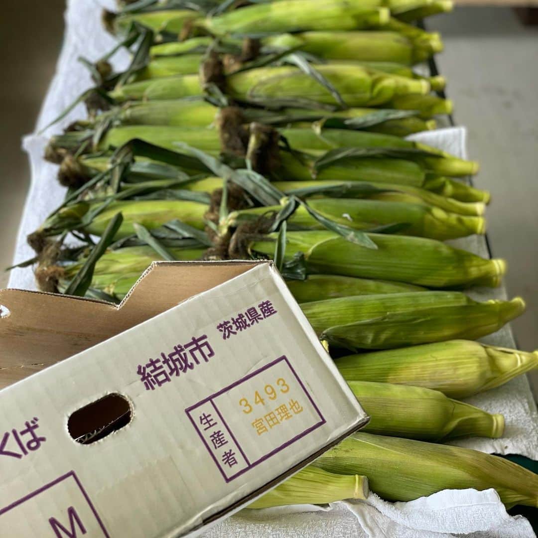 西岡剛のインスタグラム：「トウモロコシ🌽が沢山届きました🤩  1人で食べれないので、選手達に配りました🙏  TY様ありがとう👍  #西岡剛 #とうもろこし」