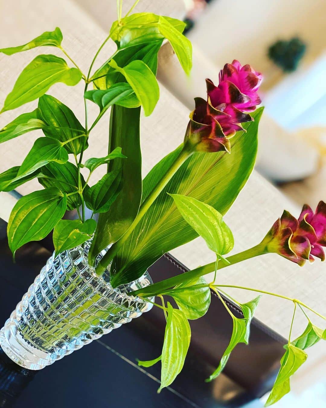 三田羽衣さんのインスタグラム写真 - (三田羽衣Instagram)「南国のお花ジンジャー🌺 儚いお花も好きだけれど.. 力強く色づき比較的長い間咲いてくれる南国のお花が大好きです。 花瓶は頂き物のバカラ💎ぴったり🥰」6月1日 17時31分 - mita.fujin