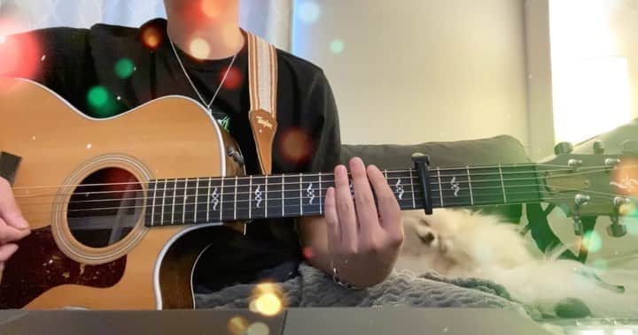 KAZUKI【ANFiNY】のインスタグラム：「きらきら / もさを。  つぶがめちゃくちゃ可愛すぎるけん見てーーー🥺♡  最初の顔だけで癒される…。  今日も楽しく歌いましたとさ😆✨  #ANFiNY #KAZUKI #きらきら #もさを #弾き語り #編集もきらきらさせてみたお #どーかいな」