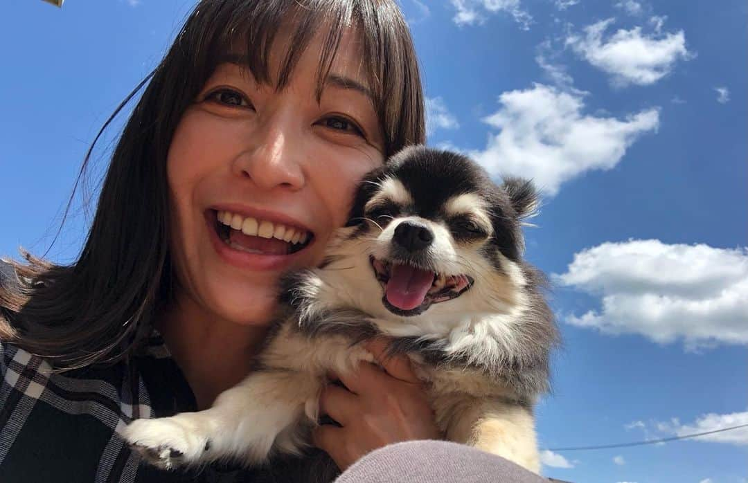 小野真弓さんのインスタグラム写真 - (小野真弓Instagram)「おはようございます😊  おかーさんおかえり🙋🏻‍♀️ のときの大集合🐶🐶🐈🐈💨 ( ´ ▽ ` )✨ この瞬間が、たまらーん☺️  今日も良い一日を🍀^ ^  #チワワ#ハナちゃん #チワマル#ハルくん #子猫兄妹#アオくん#ナナちゃん #犬と猫のいる暮らし#千葉暮らし#青空#晴天#わんにゃん家族#犬猫日記#いぬすたぐらむ #ねこすたぐらむ  #仕事帰り#直行直帰#仕事顔#メイクさんメイク  💄かーさん、いつも自分でパパっとメイクしてしまうのですが、メイクさんにやって貰うと、やっぱり違う〜🌱✨気分ウキウキ寄り道したくなるけどー、、、 やっぱり直帰！⛰🚗💨😏」6月2日 6時13分 - hanaharuaroi