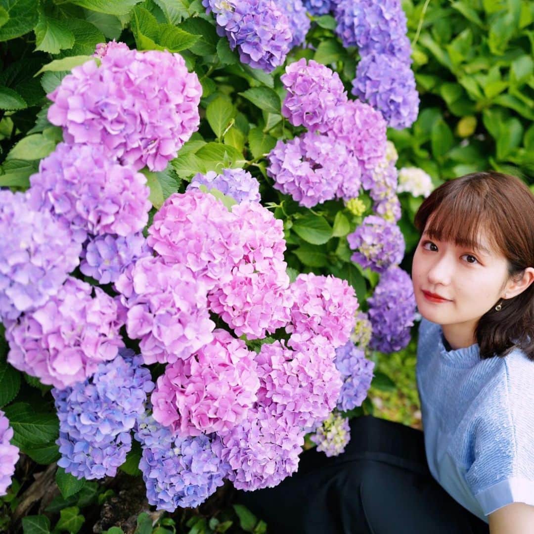 佐藤ちひろさんのインスタグラム写真 - (佐藤ちひろInstagram)「今日から６月がスタートしました!  今日は私にとって嬉しいことがありました。 ピンク色の紫陽花を見つけたんです。  今月も頑張っていきましょう！  #テレビ朝日　#テレ朝　#紫陽花　#ピンク　#紫　#青　#6月　#スタート」6月1日 22時45分 - chihiro.sato_ex