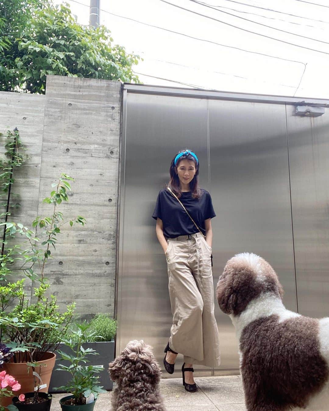 工藤静香さんのインスタグラム写真 - (工藤静香Instagram)「お散歩に行ったのに遊び足りない エトくん。甘えん坊です。  あ、カチューシャは外出時は外します😊 もう、湿気で髪年齢が上がりますよね💦パサパサして嫌ですね。」6月2日 16時10分 - kudo_shizuka