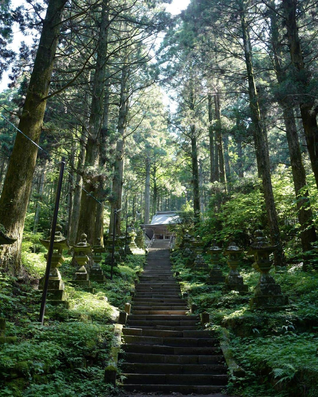 行方 久子 Hisako Namekataのインスタグラム：「. 上色目熊野座神社＝かみしきみくまのいます神社  伊邪那岐命、伊邪那美命と阿蘇山をつくった神、健磐龍命の荒魂といわれる健磐龍命が祀られていて、良いご縁に繋がると言われています🙏🏻  階段で心拍数上がりすぎてぜえぜえ言ってたけれど 自然そのままのナチュラルで神秘的な空気感にすっかり洗われたー。」