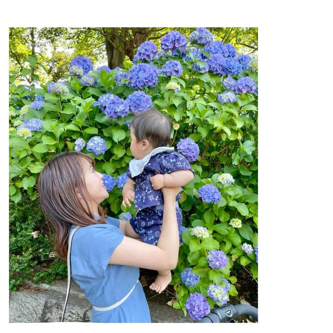 鬼頭由芽さんのインスタグラム写真 - (鬼頭由芽Instagram)「・ 甚平で 紫陽花の綺麗な公園をお散歩😌  最近はお花に近づけると 秒速で毟り取ろうとするので こんな感じで抱っこして 「ほぉぉら、お花だよおぉ」からの 手が伸びたらびゅーんと引き離す母です💠  甚平が可愛いし涼しそうだし動きやすそうなので いくつか購入し 普段はパジャマにして 毎晩着せてます😂  #ママライフ #生後8ヶ月 #男の子ママ #新米ママ #令和2年ベビー #2020年ベビー #2020年9月出産 #2020秋ベビー #令和ベビー #ベビー服 #赤ちゃんコーデ #ママリ #コズレ #ままのて #ママノワ #たまひよ#コドモノ #赤ちゃんのいる生活　#mamagirl #ベビメモリ #sango」6月2日 13時34分 - xxyumeyumexx