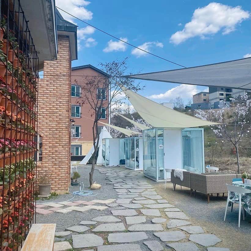 ハルハルさんのインスタグラム写真 - (ハルハルInstagram)「ソーシャルディスタンスが保てる今人気の韓国カフェ☕️🇰🇷  あんにょん！ ハルハル編集部のみみちゃんですꪔ̤̮ ♡  人と距離を置いて生活することが重視されている この時代だからこそより注目されているのが 光州（クァンジュ）にあるcafe green grass  なんといっても目を引くのは外にあるガラスのお部屋⛺️ グランピングのような雰囲気を楽しめそうです♡ ※外のテントは予約が必要  インテリアや料理にもこだわっているとのことで 中でも人気なのが「カヤトースト」というメニュー🏷 気になったら見返せるように保存をしてくださいね.ᐟ.ᐟ  〰︎  ☕️cafe green grass @greengrass_view 📍京畿道 光州市 オポウプ スレシルギル 155  ※詳細は公式Instagramをチェックしてね☑︎  ┈┈┈┈┈┈┈┈┈┈┈┈┈┈┈┈┈┈┈  今回の可愛いお写真は、 以下の方からお借りしています♡ ‌ Thanks for… ‌  @hca_fe 님 @cwxxgram 님 @mxx._.z 님  #ハルハル をタグ付けしていただくと、 ハルハルのInstagramに投稿させていただくために ハルハルからご連絡させていただく場合がございます  #하루하루 를 태그하시면 하루하루의 인스타그램에서 사용할 경우가 있습니다. 사용하기 전에 하루하루로부터 연락을 드리겠습니다.  ┈┈┈┈┈┈┈┈┈┈┈┈┈┈┈┈┈┈┈  #光州カフェ #クァンジュカフェ #韓国カフェ #韓国情報 #韓国カフェ情報 #渡韓 #韓国旅行 #韓国流行 #カフェグリーングラス #デートスポット #그린그라스풍경 #광주카페투어 #경기도광주카페 #신상카페추천 #가오픈카페투어#이색데이트장소 #이색데이트명소 #이색데이트코스#광주핫플 #광주맘 #greengrasscafe」6月2日 17時00分 - haruharu_furyu