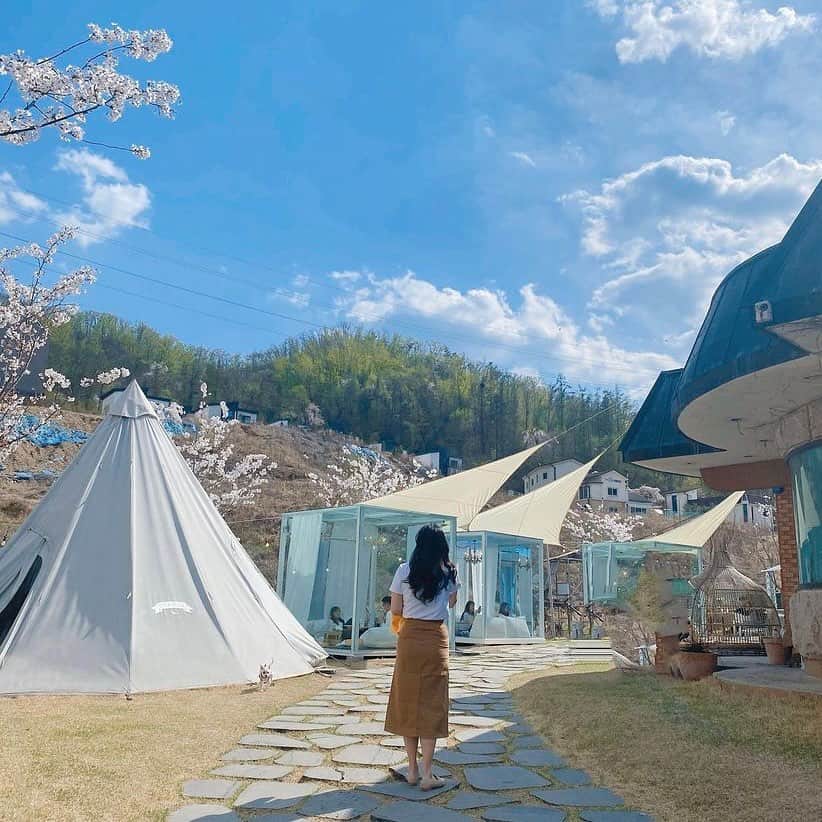 ハルハルさんのインスタグラム写真 - (ハルハルInstagram)「ソーシャルディスタンスが保てる今人気の韓国カフェ☕️🇰🇷  あんにょん！ ハルハル編集部のみみちゃんですꪔ̤̮ ♡  人と距離を置いて生活することが重視されている この時代だからこそより注目されているのが 光州（クァンジュ）にあるcafe green grass  なんといっても目を引くのは外にあるガラスのお部屋⛺️ グランピングのような雰囲気を楽しめそうです♡ ※外のテントは予約が必要  インテリアや料理にもこだわっているとのことで 中でも人気なのが「カヤトースト」というメニュー🏷 気になったら見返せるように保存をしてくださいね.ᐟ.ᐟ  〰︎  ☕️cafe green grass @greengrass_view 📍京畿道 光州市 オポウプ スレシルギル 155  ※詳細は公式Instagramをチェックしてね☑︎  ┈┈┈┈┈┈┈┈┈┈┈┈┈┈┈┈┈┈┈  今回の可愛いお写真は、 以下の方からお借りしています♡ ‌ Thanks for… ‌  @hca_fe 님 @cwxxgram 님 @mxx._.z 님  #ハルハル をタグ付けしていただくと、 ハルハルのInstagramに投稿させていただくために ハルハルからご連絡させていただく場合がございます  #하루하루 를 태그하시면 하루하루의 인스타그램에서 사용할 경우가 있습니다. 사용하기 전에 하루하루로부터 연락을 드리겠습니다.  ┈┈┈┈┈┈┈┈┈┈┈┈┈┈┈┈┈┈┈  #光州カフェ #クァンジュカフェ #韓国カフェ #韓国情報 #韓国カフェ情報 #渡韓 #韓国旅行 #韓国流行 #カフェグリーングラス #デートスポット #그린그라스풍경 #광주카페투어 #경기도광주카페 #신상카페추천 #가오픈카페투어#이색데이트장소 #이색데이트명소 #이색데이트코스#광주핫플 #광주맘 #greengrasscafe」6月2日 17時00分 - haruharu_furyu