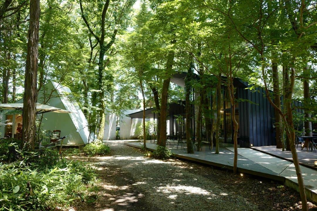 行方 久子 Hisako Namekataさんのインスタグラム写真 - (行方 久子 Hisako NamekataInstagram)「. 阿蘇の小さな森に 寄り添うようにいくつかの建物がありました。  設計事務所が作った複合施設 @boketto_forest には レストラン、カフェ、雑貨屋 そしてイベントができるレンタルスペースも。  森の中に身を置かせてもらいながら 四季の変化を五感で感じられる、 そんな空間です。  地方にはおもしろい施設がどんどんできてるなぁ。」6月2日 17時50分 - hisakonamekata