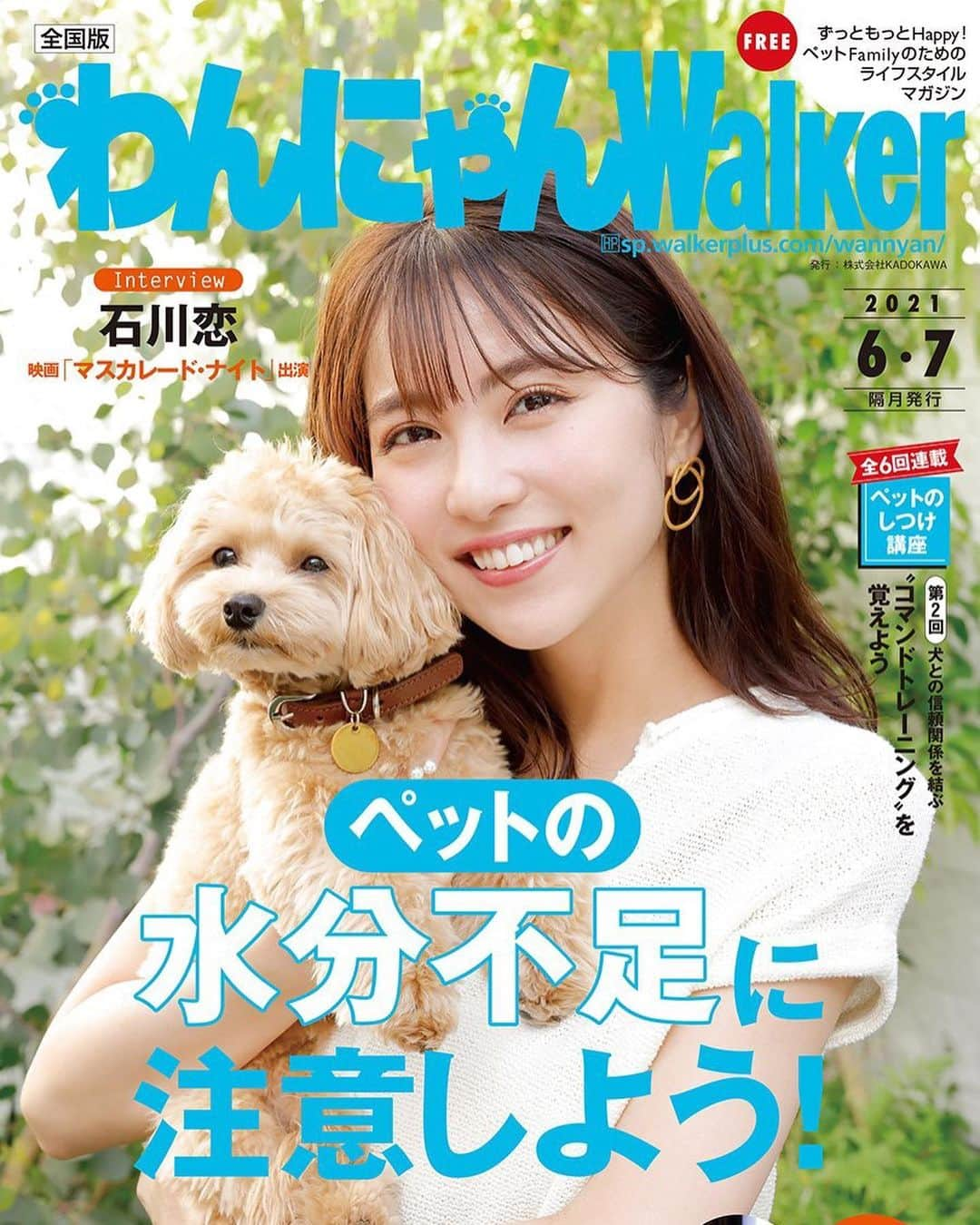 石川恋さんのインスタグラム写真 - (石川恋Instagram)「#わんにゃんWalker 🐶🐾 マルプーのこはだくんと一緒に 表紙をやらせていただきました〜〜！ 中面にはインタビューも載っております。 ぜひチェックしてください🌈  こはだくんが可愛すぎてメロメロ。 幸せな撮影でした、、こはだくんありがとう🥰」6月2日 18時47分 - ren_ishikawa