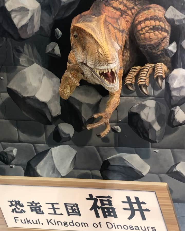 木原稔のインスタグラム：「羽田空港✈️小松空港🚕小松駅🚃福井駅🏨明日は福井市からスタート」