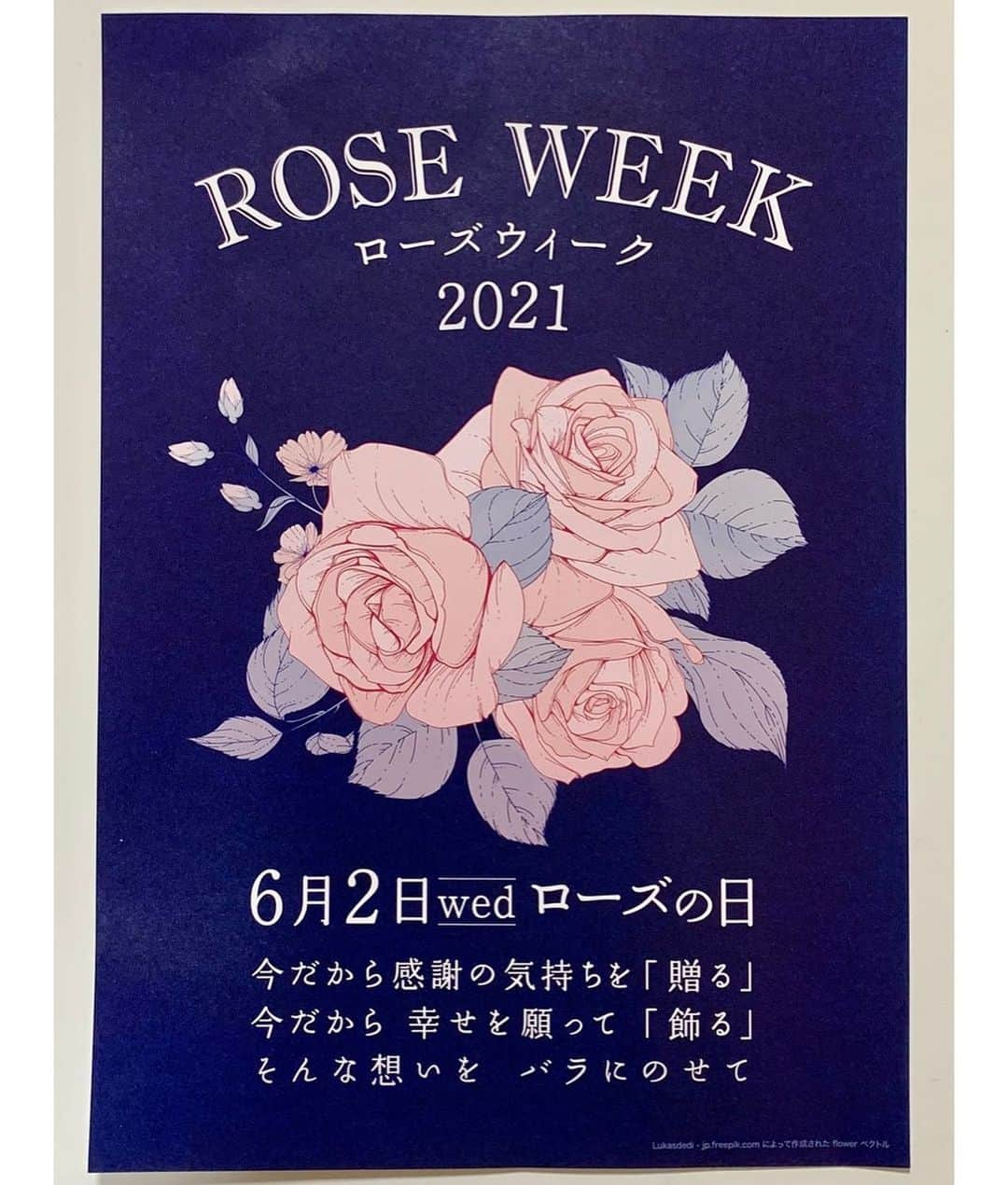 牧野真莉愛さんのインスタグラム写真 - (牧野真莉愛Instagram)「♡ ♡ ✨🌹Happy Rose Day!🌹✨ ♡ ♡  #ローズの日 🌹 #西尾市  #レインボーバラ共選組合 様 #ニシオフラワー @nishioflower  #モーニング娘21 #morningmusume21 #牧野真莉愛」6月2日 22時55分 - maria_makino.official