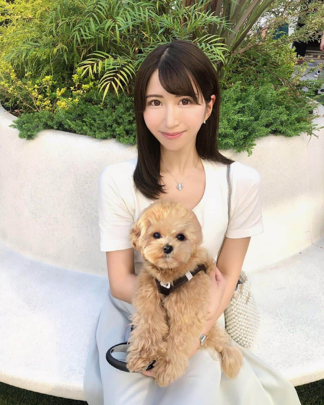 Manaさんのインスタグラム写真 - (ManaInstagram)「🐶🌷💕 𝑺𝒉𝒐𝒑𝒑𝒊𝒏𝒈 𝒘𝒊𝒕𝒉 𝒎𝒚 𝒇𝒓𝒊𝒆𝒏𝒅𝒔 𝒂𝒏𝒅 𝒕𝒉𝒆𝒊𝒓 𝒄𝒖𝒕𝒆 𝒅𝒐𝒈𝒔♡♡ . 前の投稿のつづき🐾 . 友人ふたりと彼女たちの大切な 可愛いわんちゃんたちとアウトレットへ！ . 私は特に欲しいものがなかったので 喜んでわんちゃんのお守りを担当しました♥️🐕🐕 . . もふもふしていて可愛い😍 . この写真を見返す度に癒されます🥺 こんな可愛い子達のためなら何度でもお守りしたい♡🐾 . 幸せな日でした…♪ . . . . 皆さん今日も一日おつかれさまでした💕 . . . #もふもふのお友達 #ふわもこ部 #わんちゃん #わんちゃん大好き #トイプードル #マルプー #お犬様 #癒し #犬のいる生活 #犬スタグラム #いぬすたぐらむ #いぬのきもち #三井アウトレットパーク #ナガシマ #長島 #ジャズドリーム長島 #お買い物 #アウトレット #ショッピングモール #お散歩 #Tシャツコーデ #シンプルコーデ」6月2日 23時37分 - mana.tcy