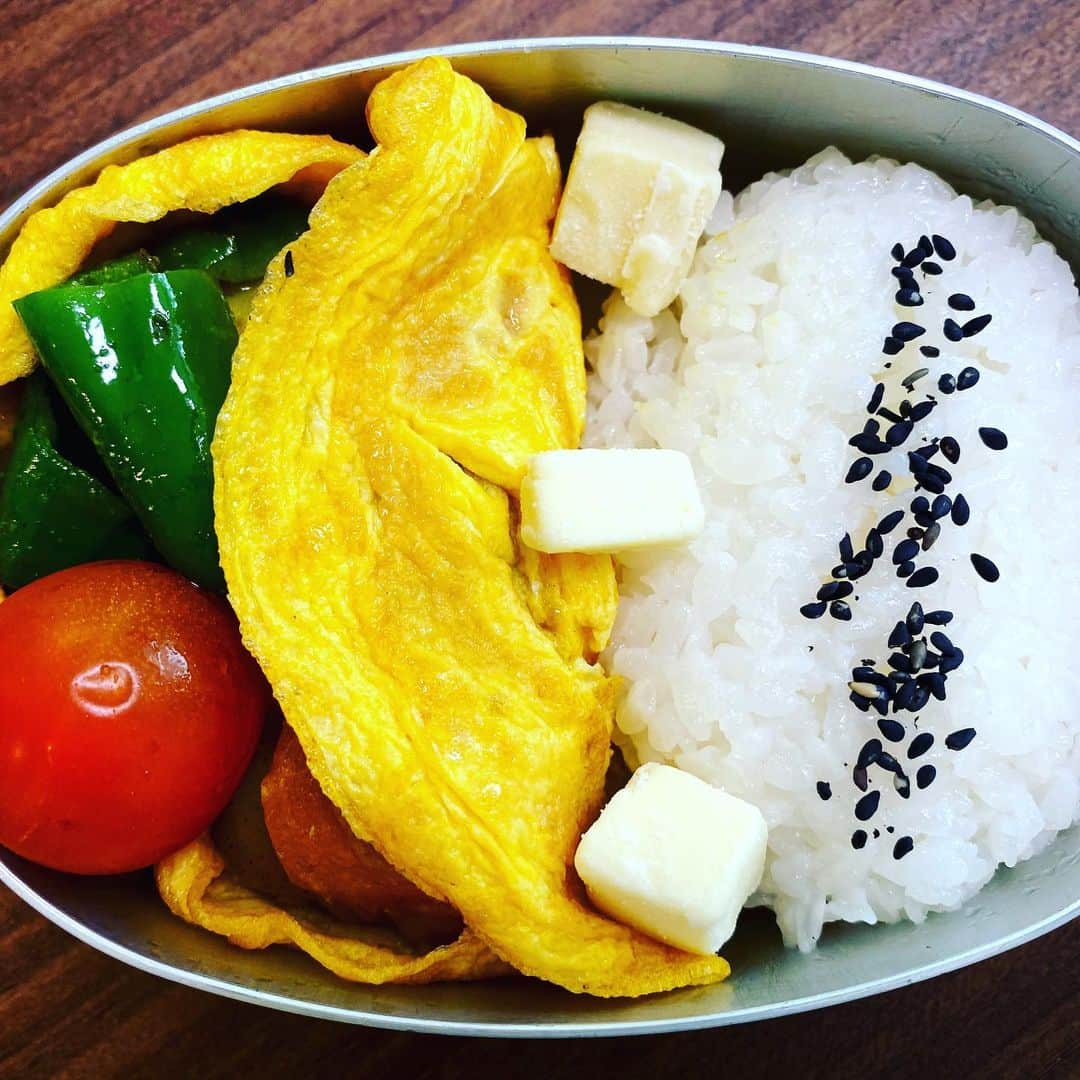 宮崎謙介さんのインスタグラム写真 - (宮崎謙介Instagram)「オムカレー弁当。オムで包めばフタも汚れない。」6月3日 6時10分 - miyazakikensuke1031