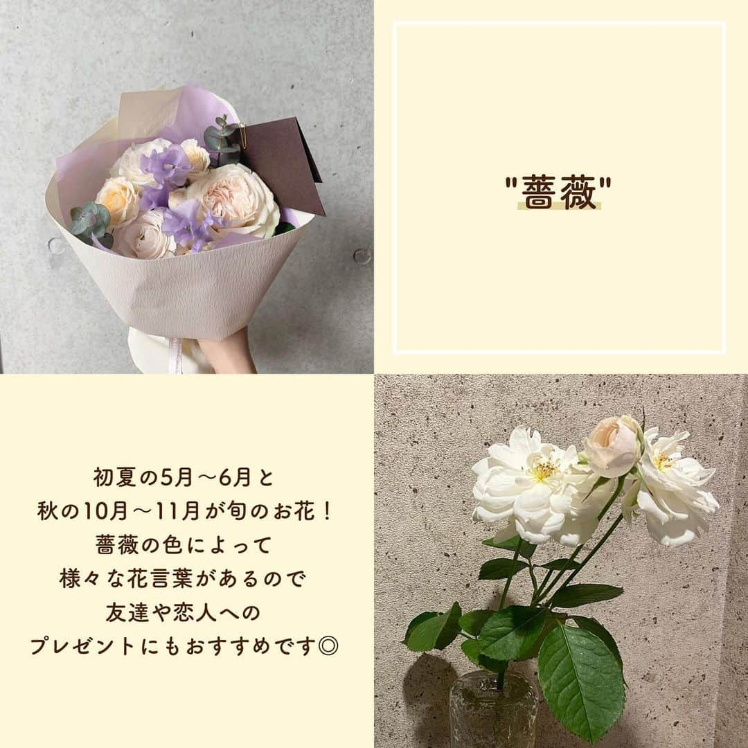 SUCLEさんのインスタグラム写真 - (SUCLEInstagram)「#6月のお花   お花屋さんに行くと沢山の種類のお花が並んでいて迷ってしまいますよね！  今回は今の季節にピッタリなお花をご紹介🌸  ぜひ購入してお部屋に飾ってみてはいかがですか？？  ﻿  ※画像内記載に誤りがありました。正しくは【アトリカリア】→【マトリカリア】です。申し訳ございません。 ﻿ @sucle_  では紹介する写真を募集中👧🏻 タグ付けやハッシュタグをつけてくれた投稿からもピックアップした写真をリポストしています！﻿ #sucle をつける か このアカウントをタグ付けして投稿してね📸﻿ ﻿  #花束 #花のある暮らし #お花 #アトリカリア #スモークツリー #ダリア #カンパニュラ #薔薇 #バラ #お花のある暮らし #お花好き #6月のお花たち #花屋 #旬の花 #旬のお花 #旬の花を楽しむ #花のある生活 #花のあるくらし #花のある暮らし🌼 #お花インテリア #お花好きな人と繋がりたい #お花のある暮らしはじめました #お花を飾ろう」6月3日 19時12分 - sucle_