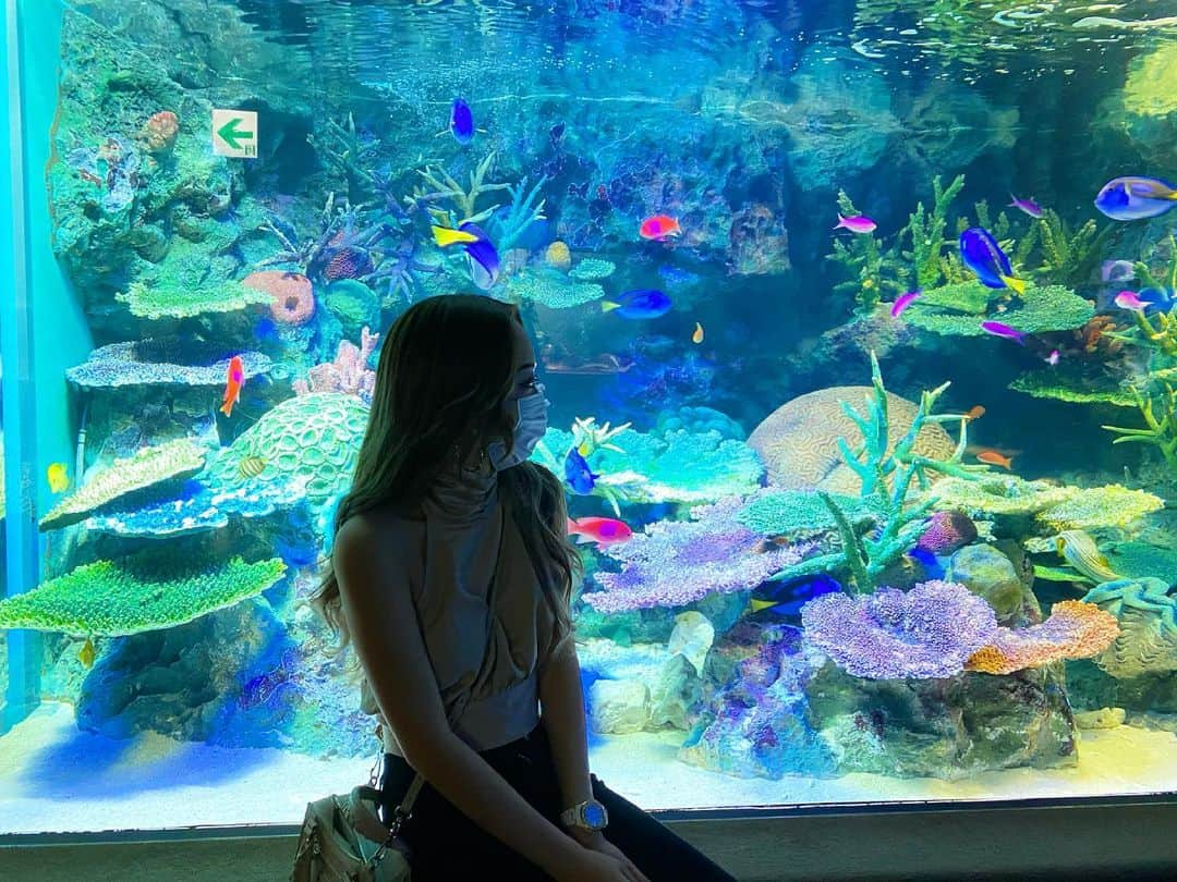 大木美里亜（みりちゃむ）さんのインスタグラム写真 - (大木美里亜（みりちゃむ）Instagram)「水族館🐠🐡🐧🐬🐳 ･ 何年ぶり？ってくらいにオカンと水族館行ってきた(笑) ･ まじで久しぶりすぎて楽しかった🦈💕」6月3日 16時37分 - mirichamu_0710