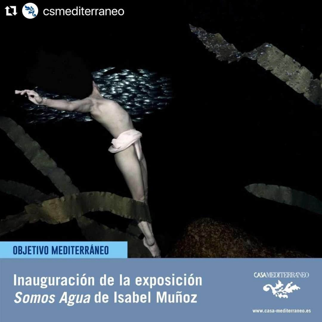 二木あいのインスタグラム：「Repost @csmediterraneo  ・・・ 🔹 La fotógrafa @isabelmunoz_photographer inaugurará, junto a la apneísta @aifutaki, su exposición #SomosAgua en nuestra sede el próximo 8 de junio.   📸 La muestra se podrá visitar hasta el 30 de julio en el Espacio Azul de la Antigua Estación de Benalúa.   🤝 Colabora @oceanografic_vl   @espanaglobal @exteriores.maec  ・・・ Special Thanks  @blancpain1735 #blancpainoceancommitment @bewet_water_suits @breier.sas @aqua_lung_japan @mymizu.co #環境省 @morisatokawaumi_ @esthereotipo @espericueta.veronica @anatoledozamora @margaardao」