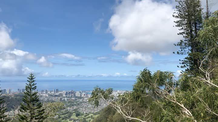 Honolulu Myohoji Missionのインスタグラム：「🏝 The beauty of the earth is always with you 🤗  ————————- 📺  Honolulu Myohoji YouTube channel is available now!  On our YouTube channel, you can see - Rev. Yamamura’s talk, - Past events of Honolulu Myohoji, and - Some nice Hawaii weather from Honolulu Myohoji.  ————————- * * * *  #ハワイ #ハワイ好きな人と繋がりたい  #ハワイだいすき #ハワイ好き #ハワイに恋して #ハワイ大好き #ハワイ生活 #ハワイ行きたい #ハワイ暮らし #オアフ島 #ホノルル妙法寺 #思い出　#honolulumyohoji #honolulumyohojimission #御朱印女子 #開運 #穴場 #パワースポット #hawaii #hawaiilife #hawaiian #luckywelivehawaii #hawaiiliving #hawaiistyle #hawaiivacation #healing #meditation」