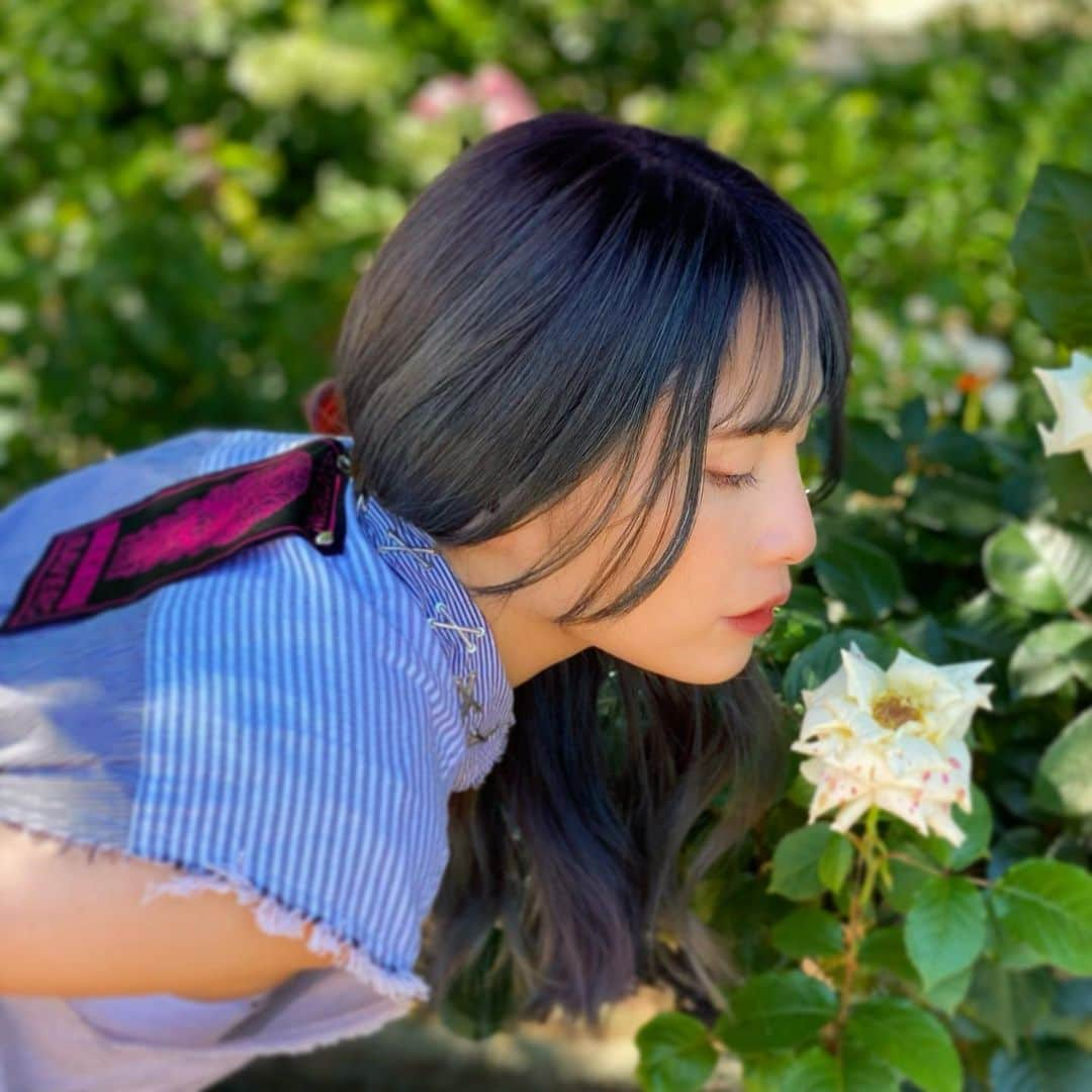 花咲いあんさんのインスタグラム写真 - (花咲いあんInstagram)「綺麗な物や景色を見るのって本当大事ね🤍 心が洗われる。  #あにょん6月 #花に癒される #flowerstagram  #大人になったな  #お花好きさんと繋がりたい」6月3日 21時47分 - ohanachan_087087