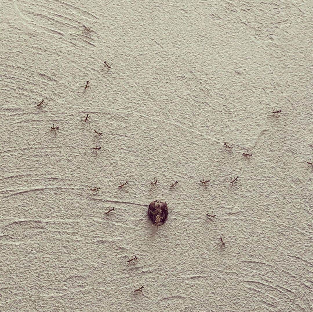 山本高広のインスタグラム