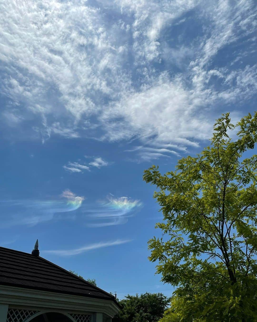 藤井美菜さんのインスタグラム写真 - (藤井美菜Instagram)「. 見上げた空に、虹の雲️🌈☁️ ️ ちょっと更新が空いてしまいました。皆さんお元気にお過ごしですか☺️私は先日の撮影を終えて、少しまったりとした時間を過ごせています🥰 하늘을 올려다 보니 무지개 구름🌈☁️ 오랜만이예요. 여러분 잘 지내시나요☺️ 저는 얼마전 촬영을 무사히 마치고 좀 여유로운 시간을 지내고 있습니다🥰 Rainbow clouds🌈☁️ How are you everyone🥰 #空#空の写真#日常#天使の羽#하늘#하늘사진#일상#일상스타그램#sky#daily#rainbowclouds#nofilter」6月3日 22時48分 - fujii_mina_0715