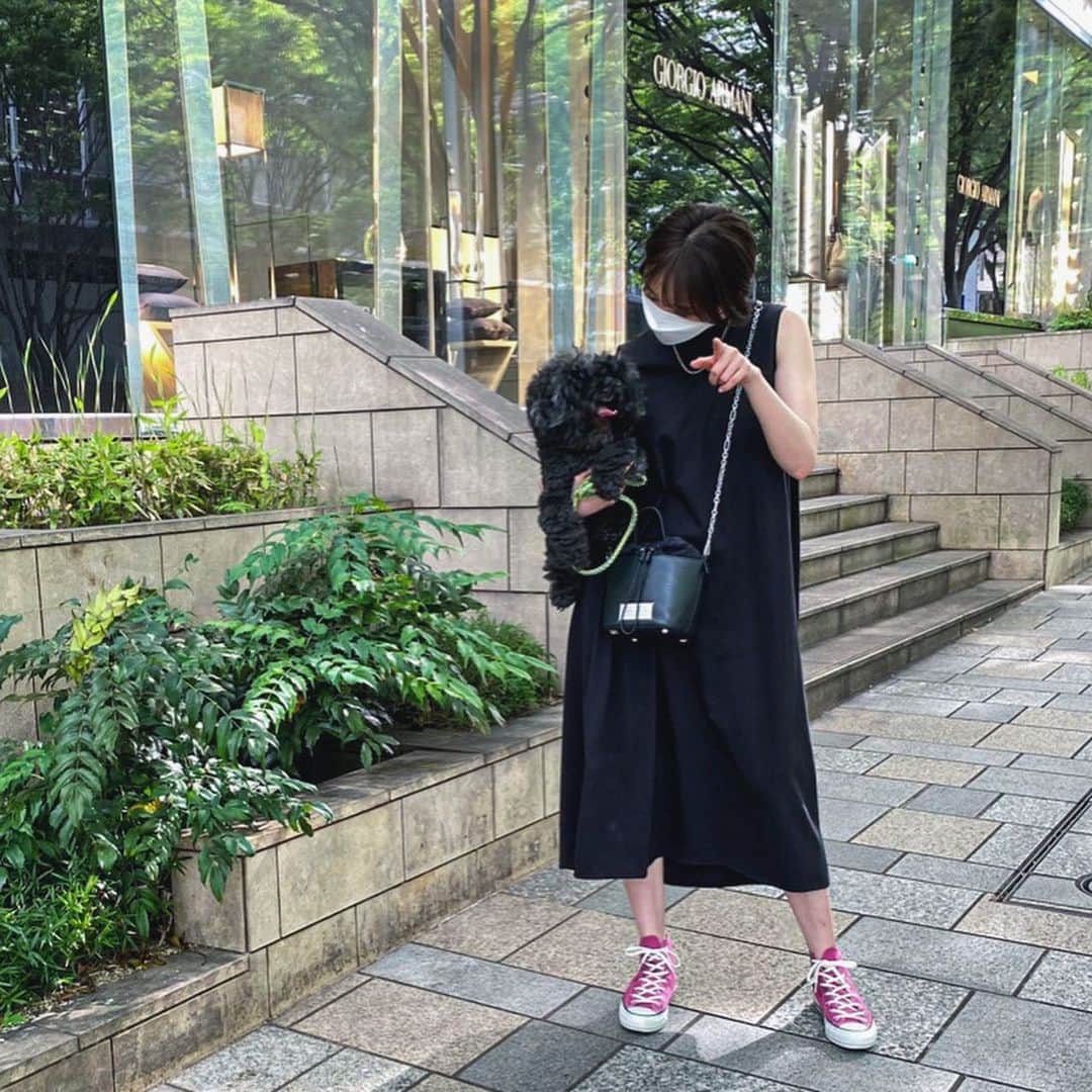 おのののかのインスタグラム：「＊ おはぎちゃんカメラみて〜 カシャ📸❤️  シンプルなワンピースには派手めなスニーカーが好き☺️ 紫キャベツで染めたconverse🥬💜」