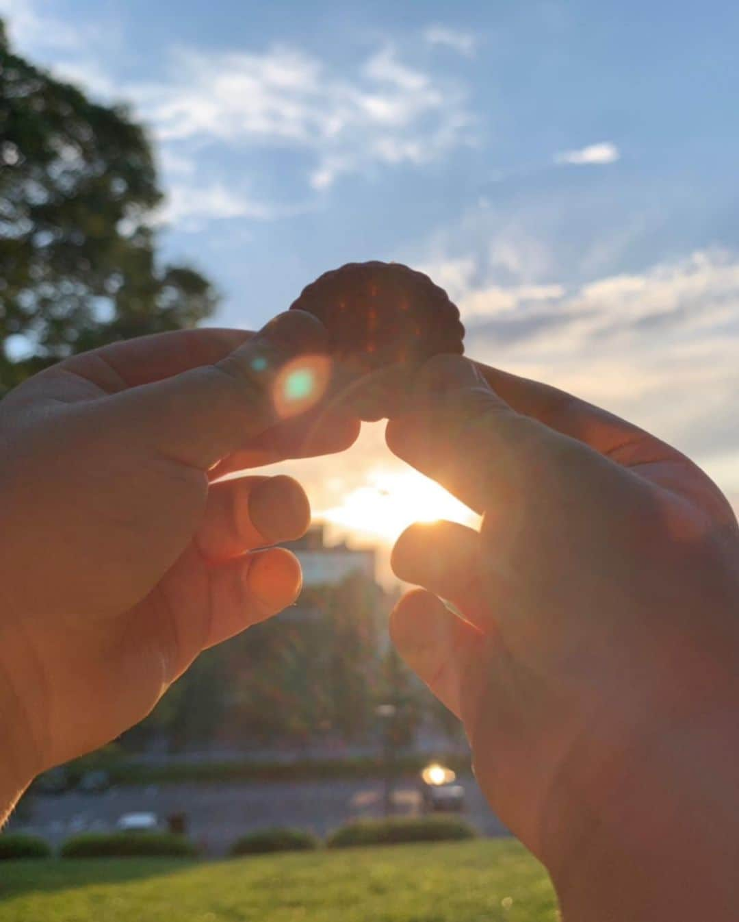 安田美沙子さんのインスタグラム写真 - (安田美沙子Instagram)「夕陽が見たくて(私が) そして、毎日少しでも自然に触れてほしくて、飽きないように自転車で自然のある場所へ🧡  男の子2人の体力なめてたー。 あと、騒がしい。笑 最近の私の口癖「うるさい！」 つい神経質になって来て、それにも疲れちゃった。子供達からしたら、それは理不尽な話で。。だからめいいっぱい好きなようにして欲しい🌿  夕陽に照らされるみんな、良い顔してました☺️✨  「ママ、ビスケットってこうやるといいんだよ！」ってお日様に透かしてくれた。そんなの思いつかないよ！大発見だね🤍  元気いっぱいな2人なのでした。 明日も探検しようぜ！  おやすみなさい。。。  #boys #brothers #兄弟 #sunset #park #nature #神経質な自分にさよなら #癒されたい　#はしゃぐのだ #何も気にせず　#自然　#夕飯が遅れたって気にしない」6月4日 1時17分 - yasuda_misako