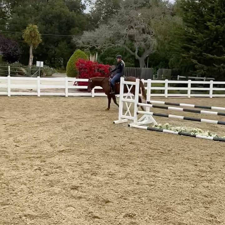 ポーシャ・デ・ロッシのインスタグラム：「...don’t jump that and that’s not left...#!?🤣...I should leave the cowgirl stuff to cowgirls @sanmarcostraining」