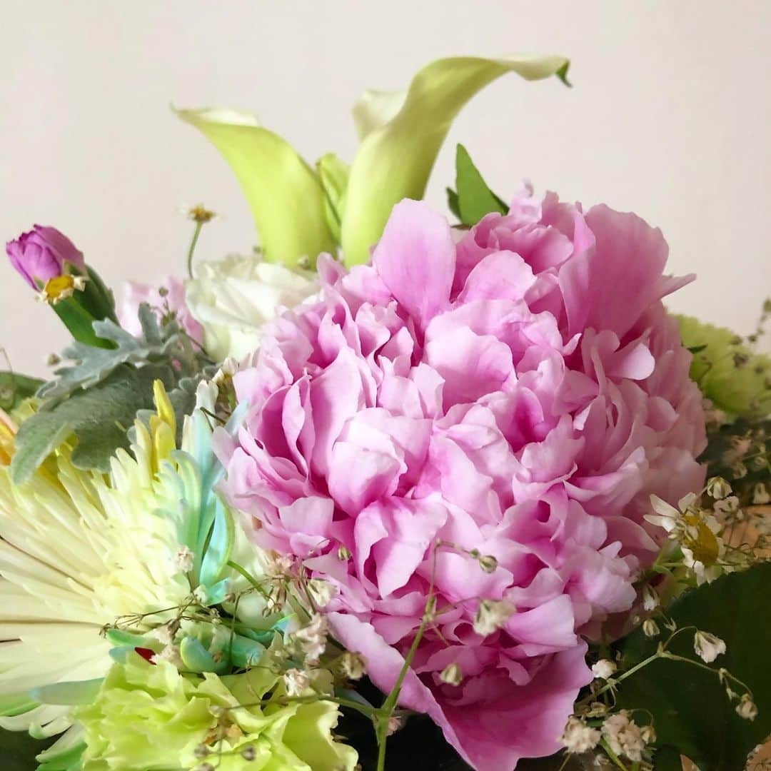 馬場典子さんのインスタグラム写真 - (馬場典子Instagram)「どの角度からも楽しめる 素敵なアレンジメントをいただきました♪ あいにくのお天気の日、目と心の栄養になりましたら。  #芍薬 は最近特に好きなお花 #カラー は昔から好きなお花 #レインボー が優しい色合い 合間の小さなお花にも癒されます。  #癒しのある暮らし #ばばちゃんネル #馬場典子」6月4日 10時35分 - baba_channel
