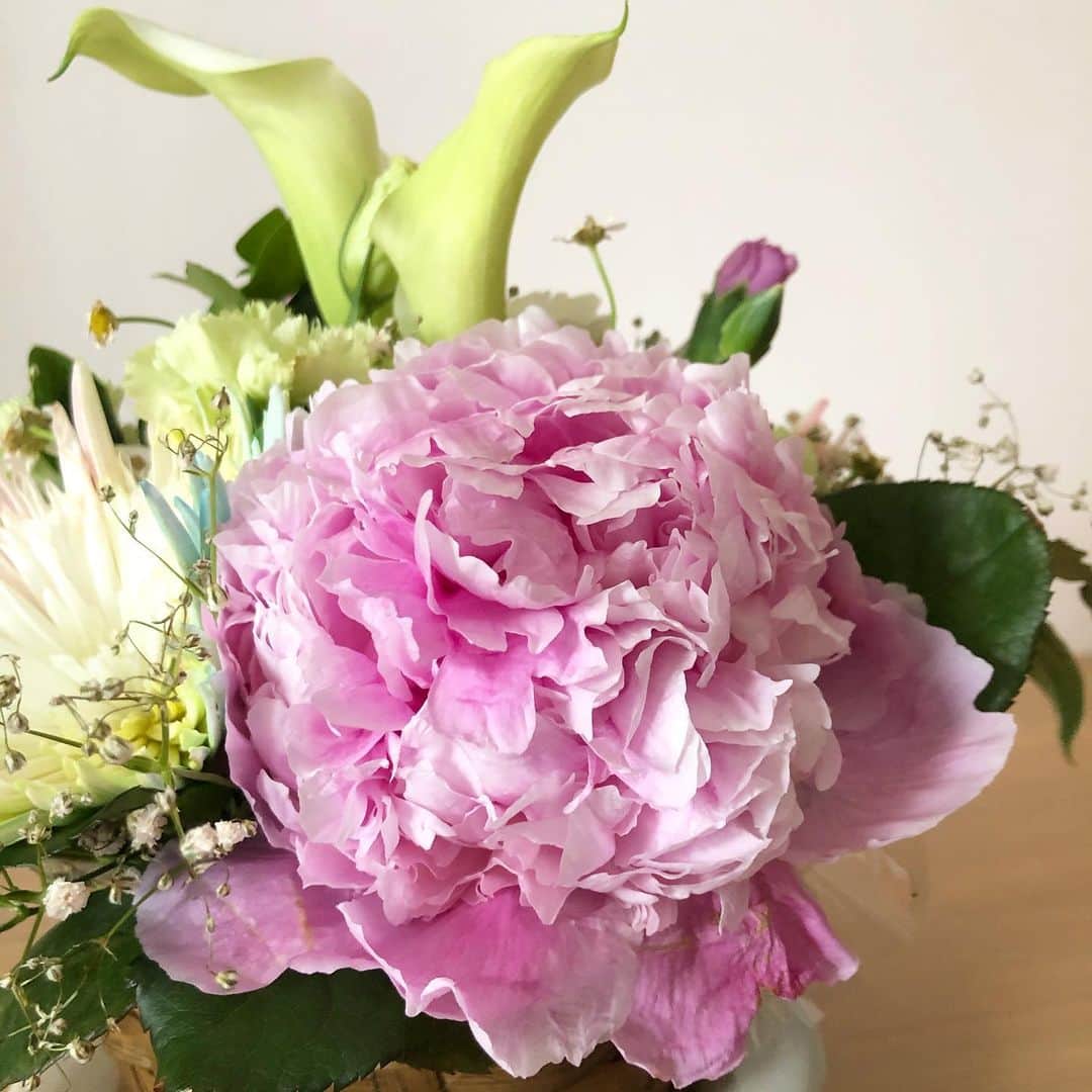 馬場典子さんのインスタグラム写真 - (馬場典子Instagram)「どの角度からも楽しめる 素敵なアレンジメントをいただきました♪ あいにくのお天気の日、目と心の栄養になりましたら。  #芍薬 は最近特に好きなお花 #カラー は昔から好きなお花 #レインボー が優しい色合い 合間の小さなお花にも癒されます。  #癒しのある暮らし #ばばちゃんネル #馬場典子」6月4日 10時35分 - baba_channel