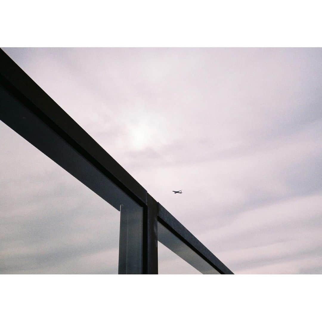 和田颯のインスタグラム：「✈︎ #contaxt2 #kodak #kodakcolorplus200」