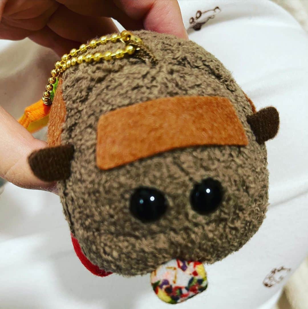 のインスタグラム：「PUI PUI モルカー🥰 テディ推し🌙.* ぶるぶるぬいぐるみやっと届いた(≧ω≦)  #puipuiモルカー  #puipui  #テディ #テディ推し #可愛い #ぶるぶるぬいぐるみ」