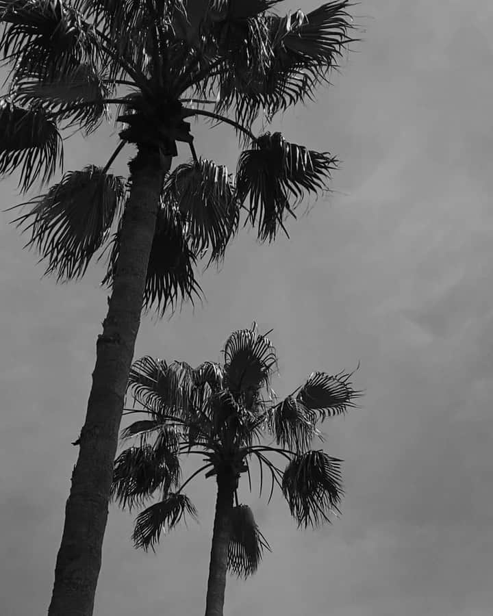 のインスタグラム：「🌴🖤  ヤシの木見てさっ 砂浜熱い熱いって言いながら裸足で歩いてさっ 水に足ジャブジャブさせたくなっちゃうよねっ」