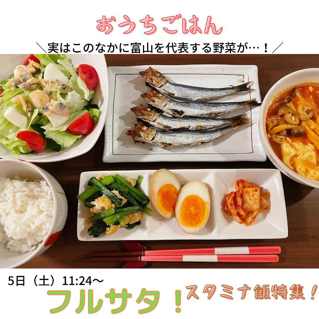 南條早紀のインスタグラム：「【スタミナ飯特集🔥】  最近暑くなったり寒くなったりの寒暖差や、 雨もぼちぼち多くなってきて気持ちもどんより☁️  そんなとき、人を元気にしてくれるのは やっぱり食、ごはんですよね🥺❤️  あしたのフルサタ！では 元気が出るスタミナ飯を特集します🔥  🔸ちょっとラインナップ🔸 ・こんなに載せちゃうの⁉️チキンカツ丼 ・富山・呉西に根付く◯◯の蒲焼き ・スパイスたっぷり✨旨辛グルメ ・栄養満点💯富山で育てられた◯◯菜 →池田航くんのKOH cookingも🍴✨  写真はある日のおうちごはん🍚 野菜多めもりもり〜になったから たぶん記念に写真撮ったやつ😂✨ うるめいわしが美味しかった🐟💓  このなかにあした登場する、 富山を代表する野菜が隠れています😚 見つけられますか😎✨✨  【5日（土）11:24〜フルサタ！】 最新コインランドリーも、ご紹介✨ お楽しみに❤️  #富山県 #富山 #富山グルメ #特集 #おうちごはん #スタミナ飯 #栄養満点 #富山テレビ #BBT #フルサタ #アナウンサー #南條早紀 #なんじょうのにちじょう #早紀飯」
