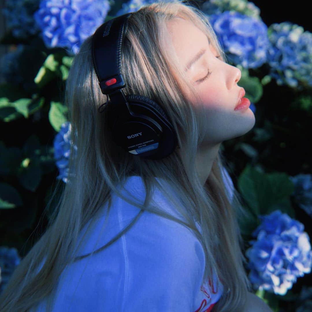 ポニーのインスタグラム：「🕊」