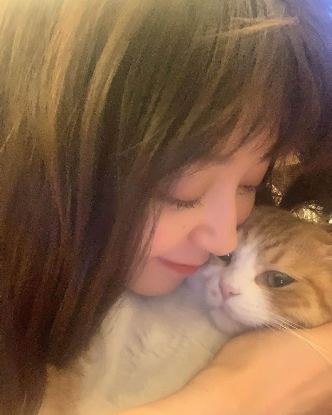 松島花さんのインスタグラム写真 - (松島花Instagram)「: National Hug Your Cat Day 🐾 6月4日は #猫をハグする日 らしい💓 アメリカの記念日だそうですが🇺🇸 真似っこしました🐈🐈‍⬛🐈‍⬛ 我が家に来てくれてありがとう💕 ずっと一緒☺️💓 : 皆さん 今週もお疲れ様でした♡ @hana_matsushima_animal  #nationalhugyourcatday #hugyourcatday #cat #6月4日 #猫 #ねこ #ネコ #保護猫 #猫とハグする #花アニマル #愛猫  #ごろりん #フェスター #ゴメズ」6月4日 22時18分 - hana_matsushima_official