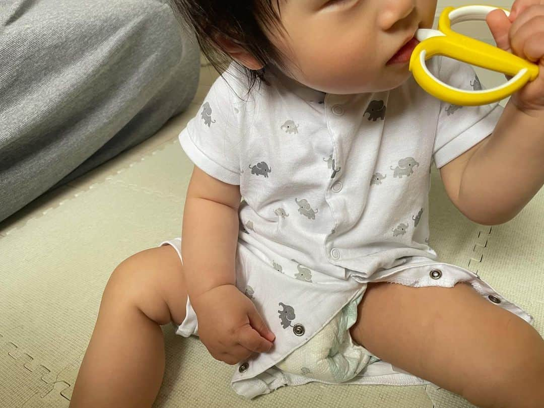 生田佳那さんのインスタグラム写真 - (生田佳那Instagram)「9ヶ月で下の歯が生えて👶 やっっとこの前上の歯も…  @official_edisonmama から出産祝いで頂いたバナナお気に入り🍌  1年経ってもまだまだ使えるものがたくさんで離乳食でも助けてもらってます今☺︎ スイカの歯固めもずーっと離さなかったあの頃🍉  #エジソンママ #edisonmama  #出産祝いギフト　 #男の子ママ #男の子ベビー #babyboy #1歳 #歯磨き #バナナ #スイカの歯固め #PR」6月4日 22時27分 - ikutakana