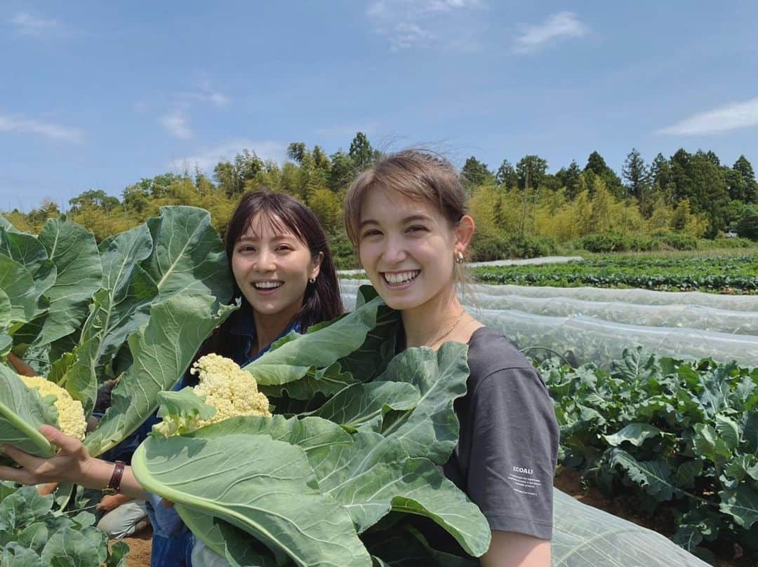 石川恋のインスタグラム