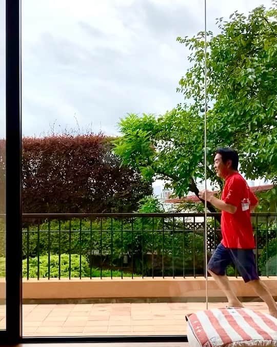 のインスタグラム：「ケリ子のストレス発散…🏃‍♂️🐕✨  #kelly #ケリー #愛犬 #ベランダ #鬼ごっこ」