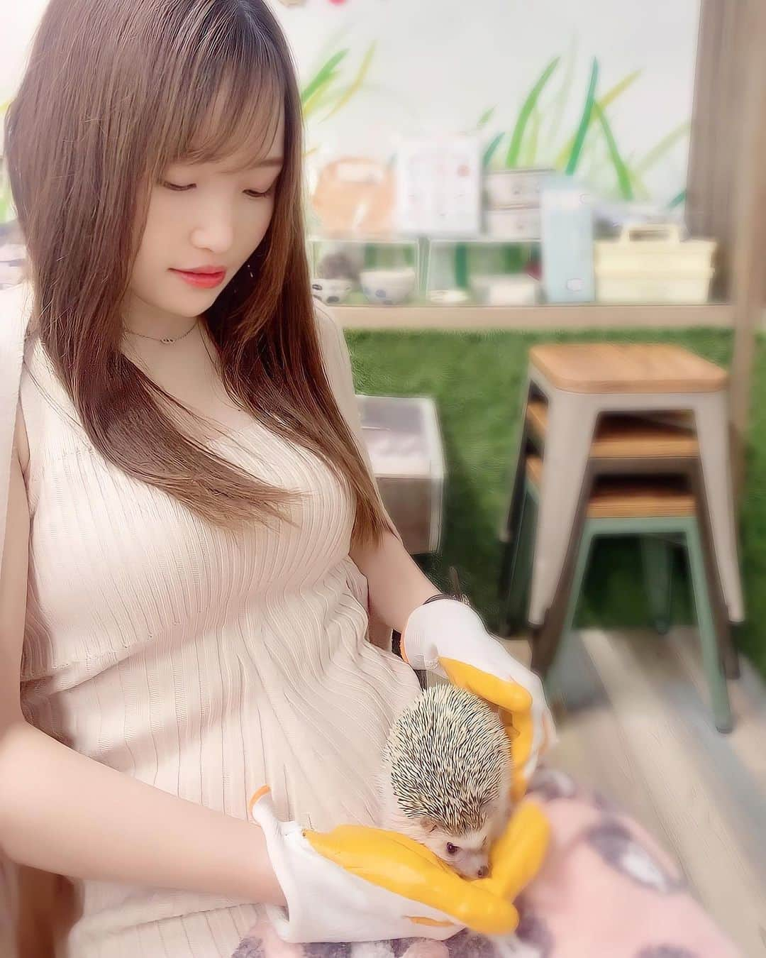 ぷーちゃんさんのインスタグラム写真 - (ぷーちゃんInstagram)「🐶🍯 . あちゃんと ハリネズミカフェ🦔♡ . 初めて触った😳 . . #関西カフェ#カフェ巡り#関西カフェ巡り #関西カフェグラム #大阪カフェ#大阪カフェ巡り#難波#ハリネズミカフェ#ハリネズミ専門カフェharrywood #ハリネズミイチナナライバー#イチナナ#ライバー#ライブ配信#配信者#tiktok#癒し系女子#ビジョビ#ビジョビジョ#ぷーちゃん」6月5日 19時46分 - poohchan31