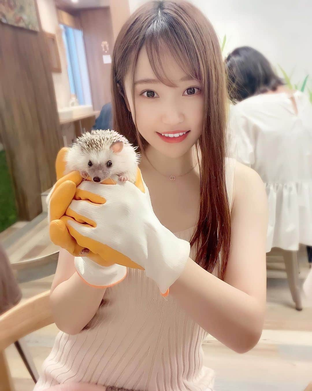 ぷーちゃんさんのインスタグラム写真 - (ぷーちゃんInstagram)「🐶🍯 . あちゃんと ハリネズミカフェ🦔♡ . 初めて触った😳 . . #関西カフェ#カフェ巡り#関西カフェ巡り #関西カフェグラム #大阪カフェ#大阪カフェ巡り#難波#ハリネズミカフェ#ハリネズミ専門カフェharrywood #ハリネズミイチナナライバー#イチナナ#ライバー#ライブ配信#配信者#tiktok#癒し系女子#ビジョビ#ビジョビジョ#ぷーちゃん」6月5日 19時46分 - poohchan31